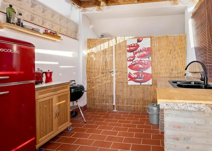 Fab Centre With Rooftop Terrace - Rdr451